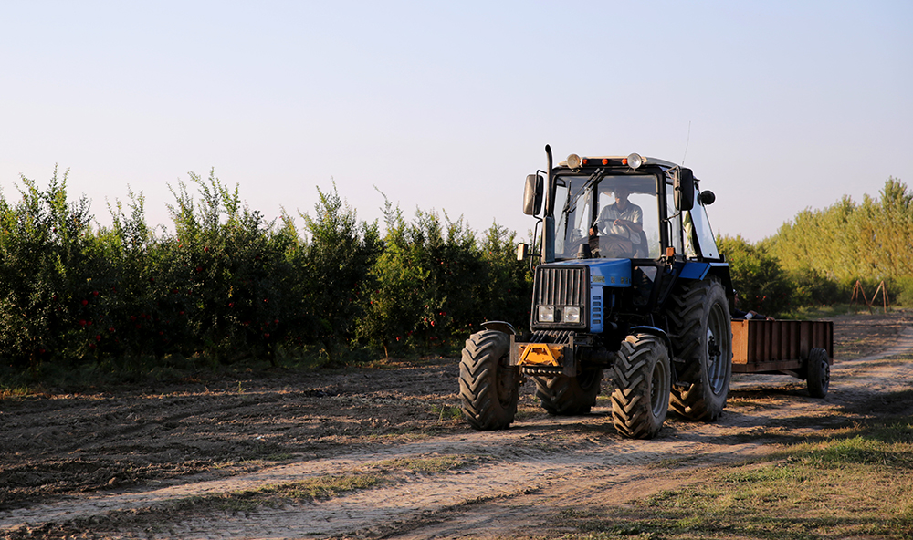 man driving tractor through field